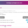 sondages_participer3.png